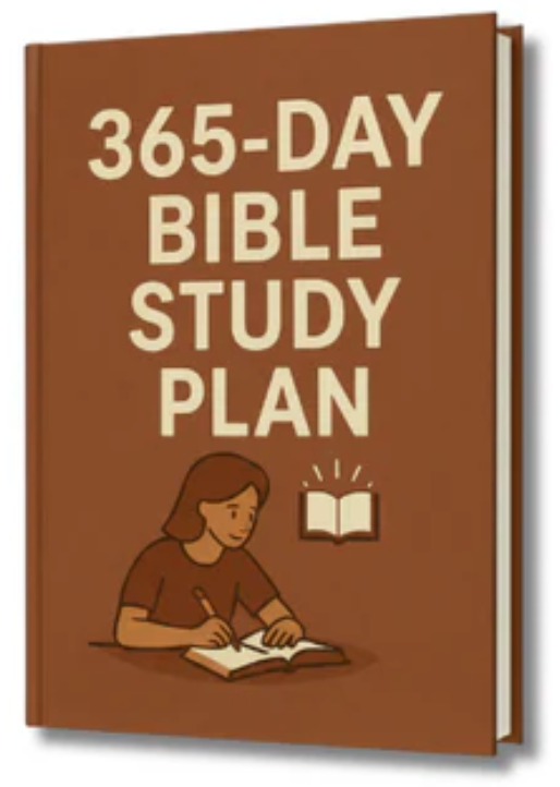 Study Plan
